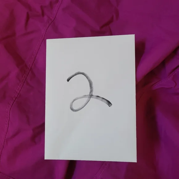 Columbia Women's Purple Pants - Picture 11 of 11